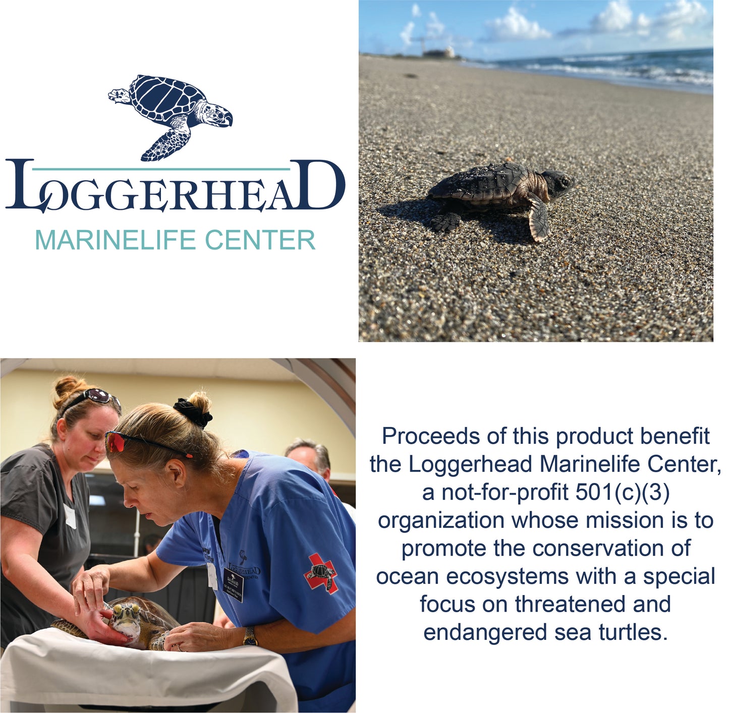Rescue Sea Turtle