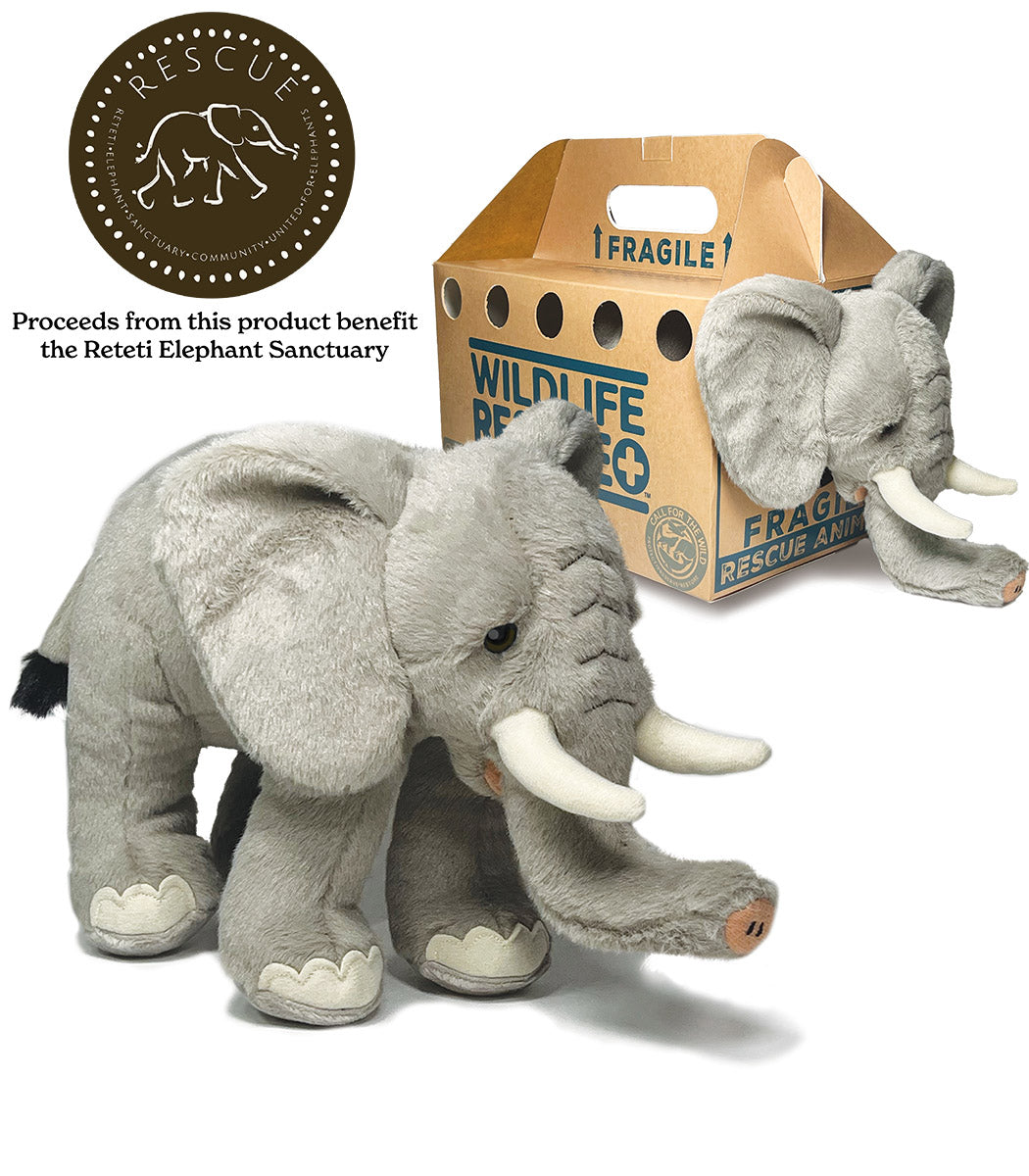 Rescue Elephant