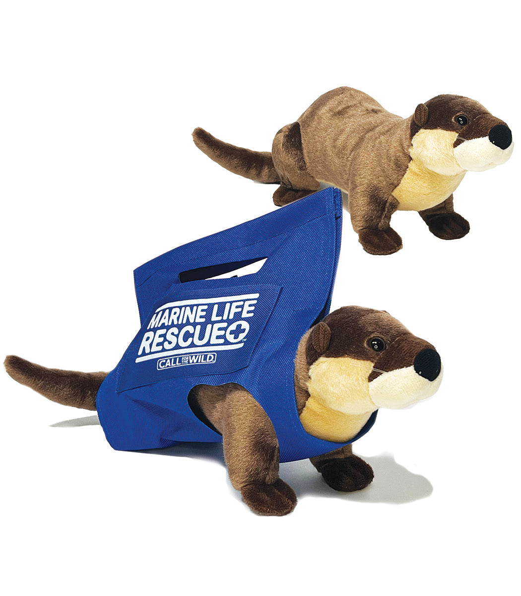Rescue River Otter
