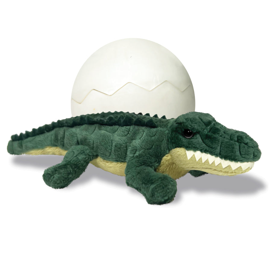 Alligator Hatchling Point of Sale Display