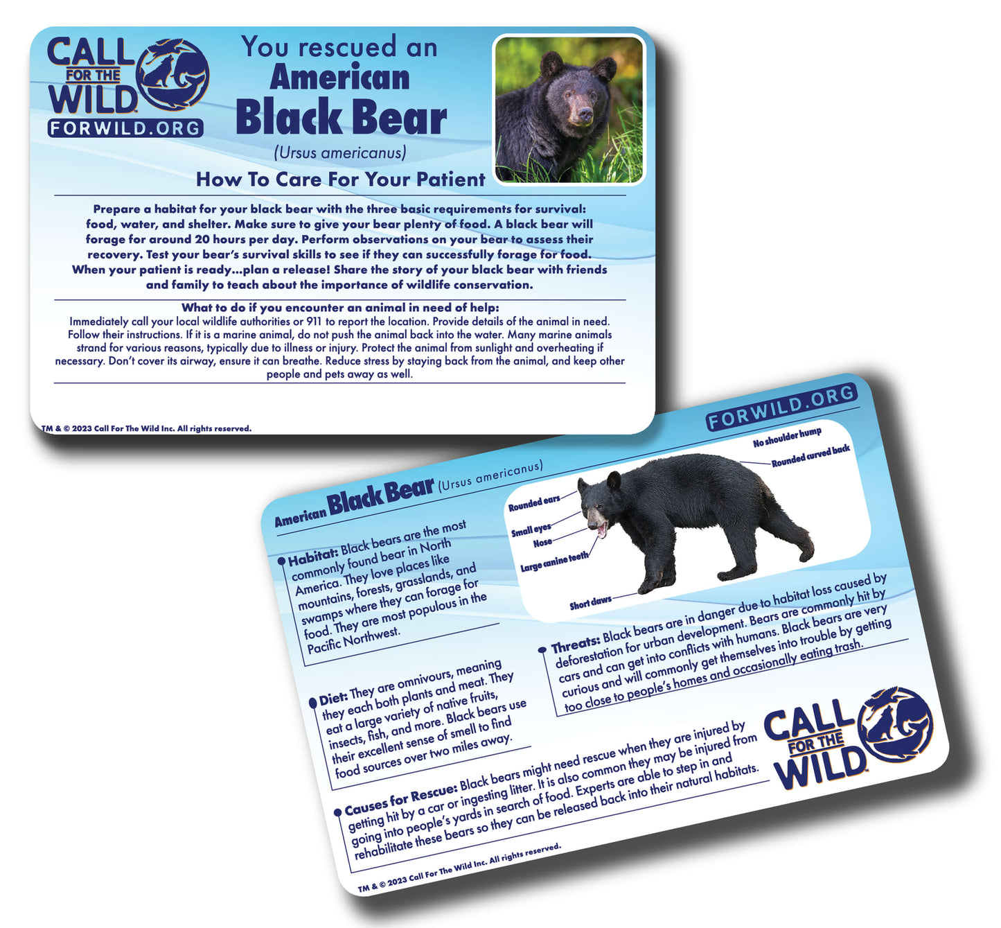 Rescue Black Bear