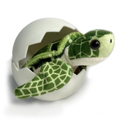 Sea Turtle Hatchling Point of Sale Display