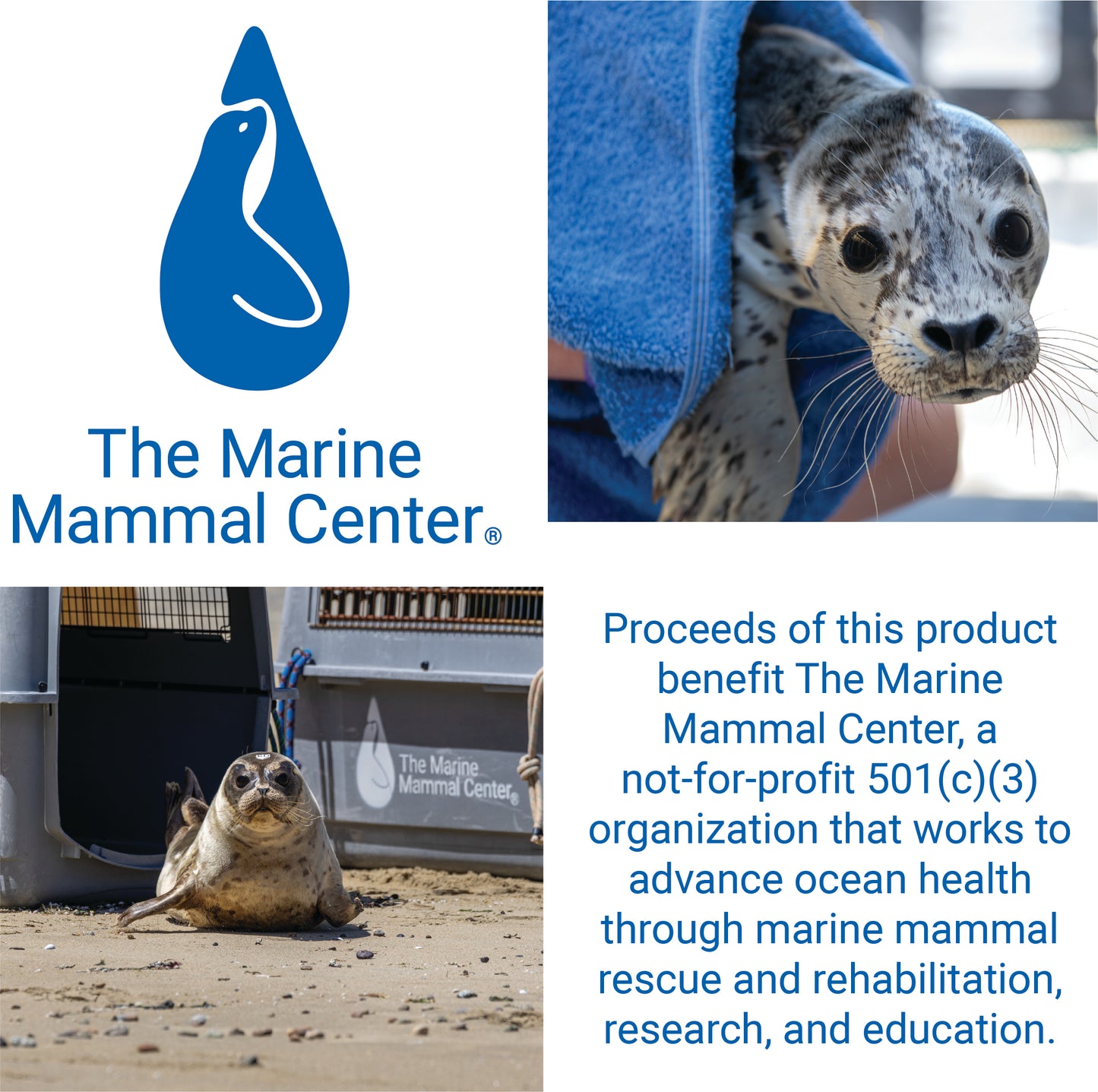 Rescue Baby Harbor Seal