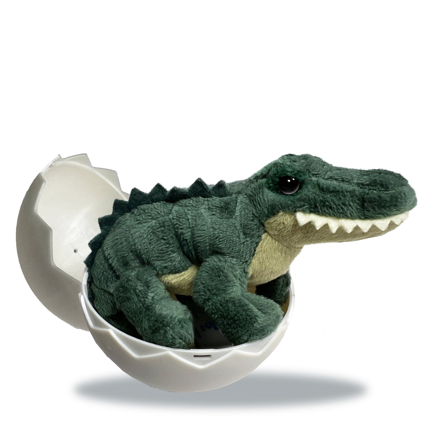 Alligator Hatchling Point of Sale Display