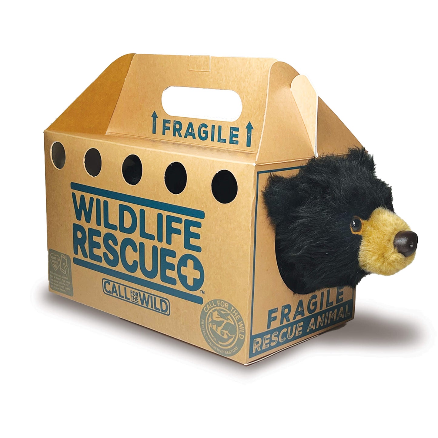 Rescue Black Bear