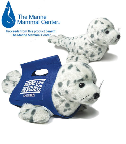 Rescue Baby Harbor Seal