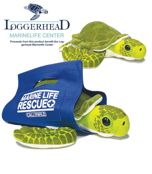 Rescue Sea Turtle