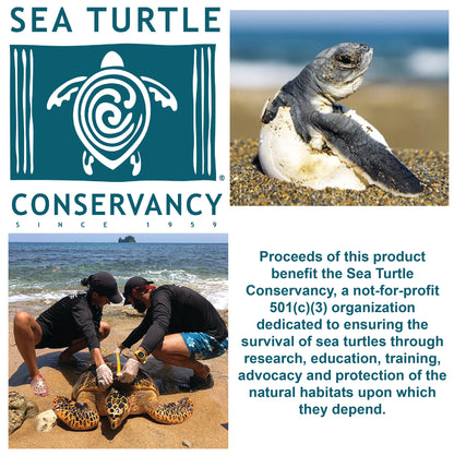 Sea Turtle Hatchling Individual Eggs