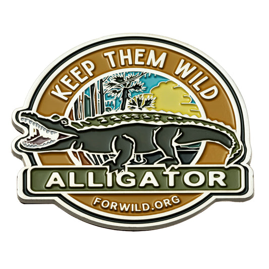 Enamel Magnet - Alligator Original Art