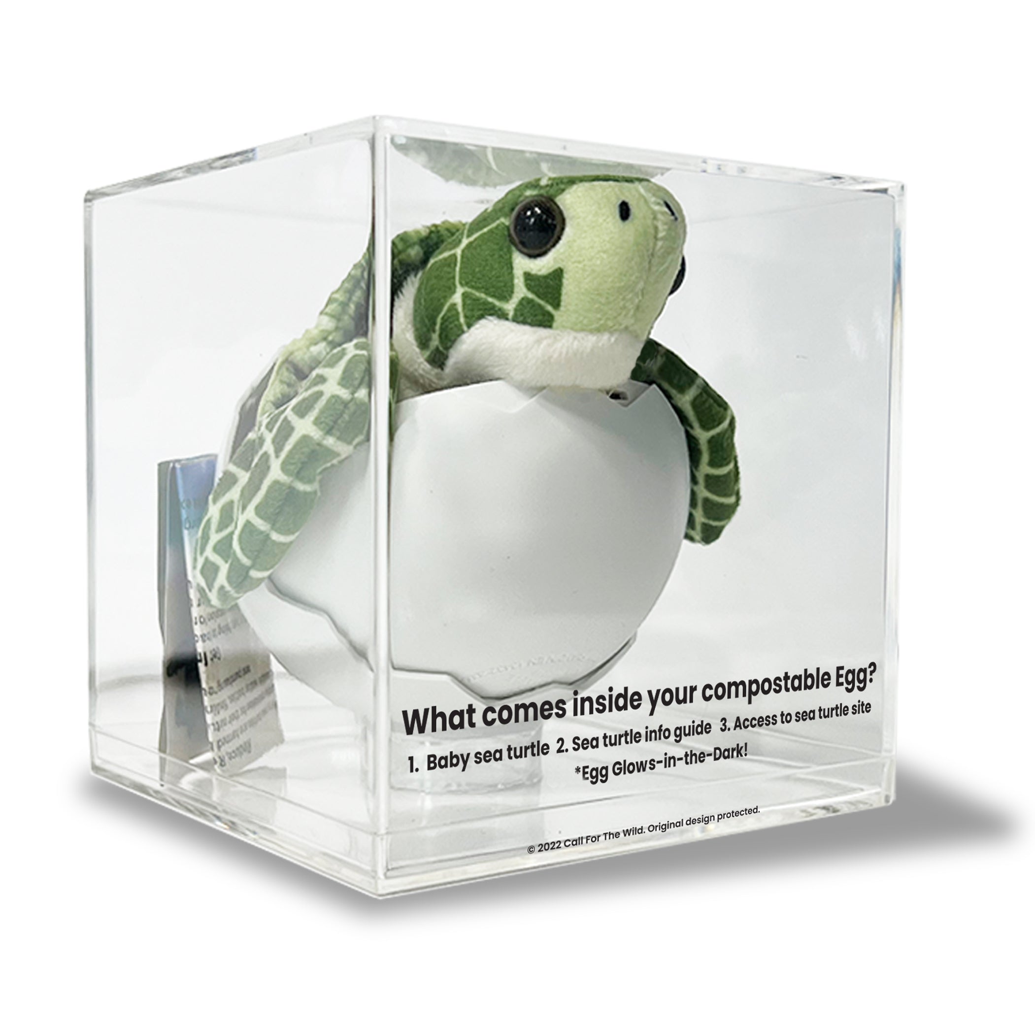Sea Turtle Hatchling Plush Egg POS Display – Retail Display Case ...