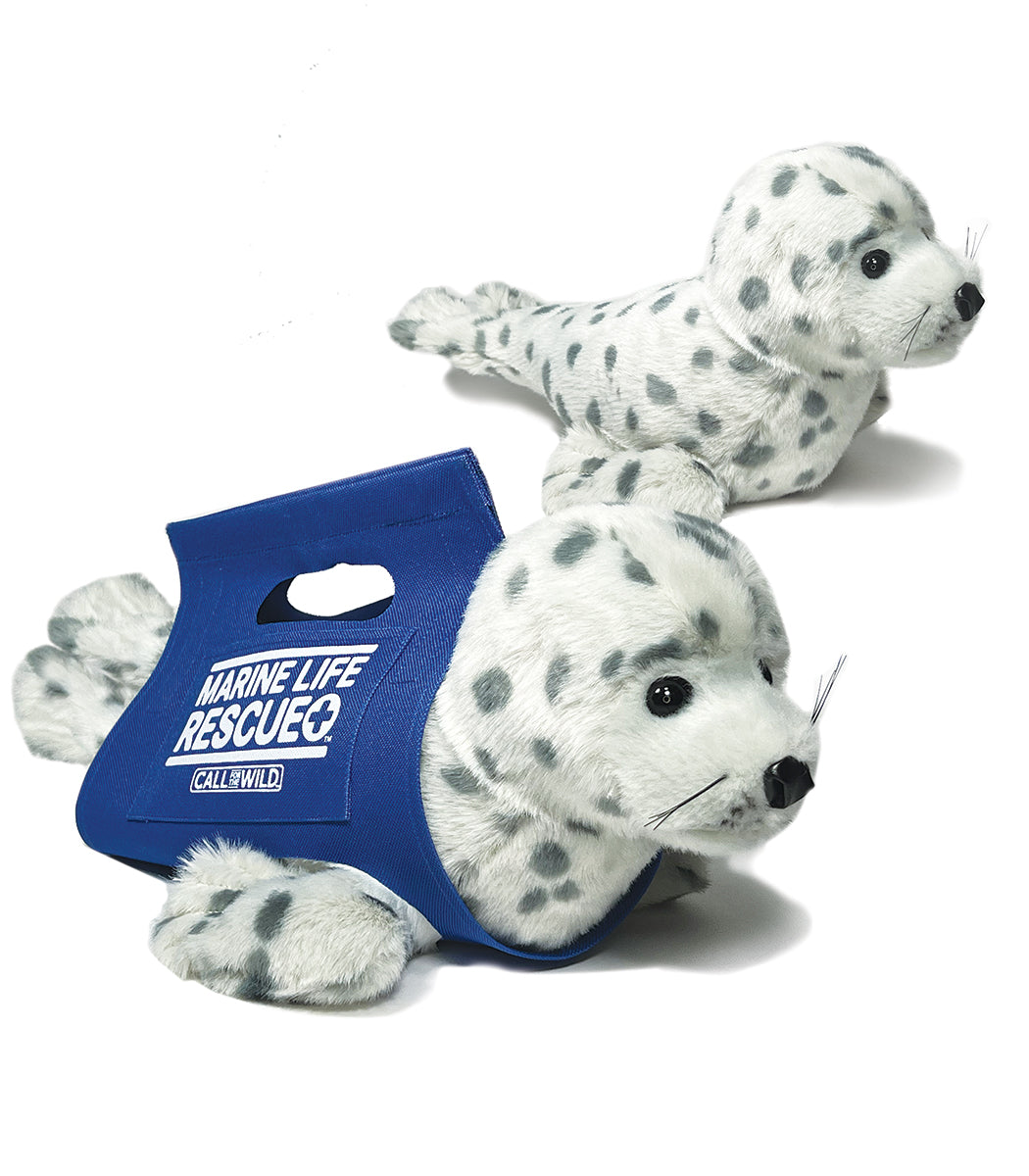 Rescue Baby Harbor Seal